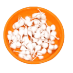 Round Vat 50 pcs (Pack of 2) 460