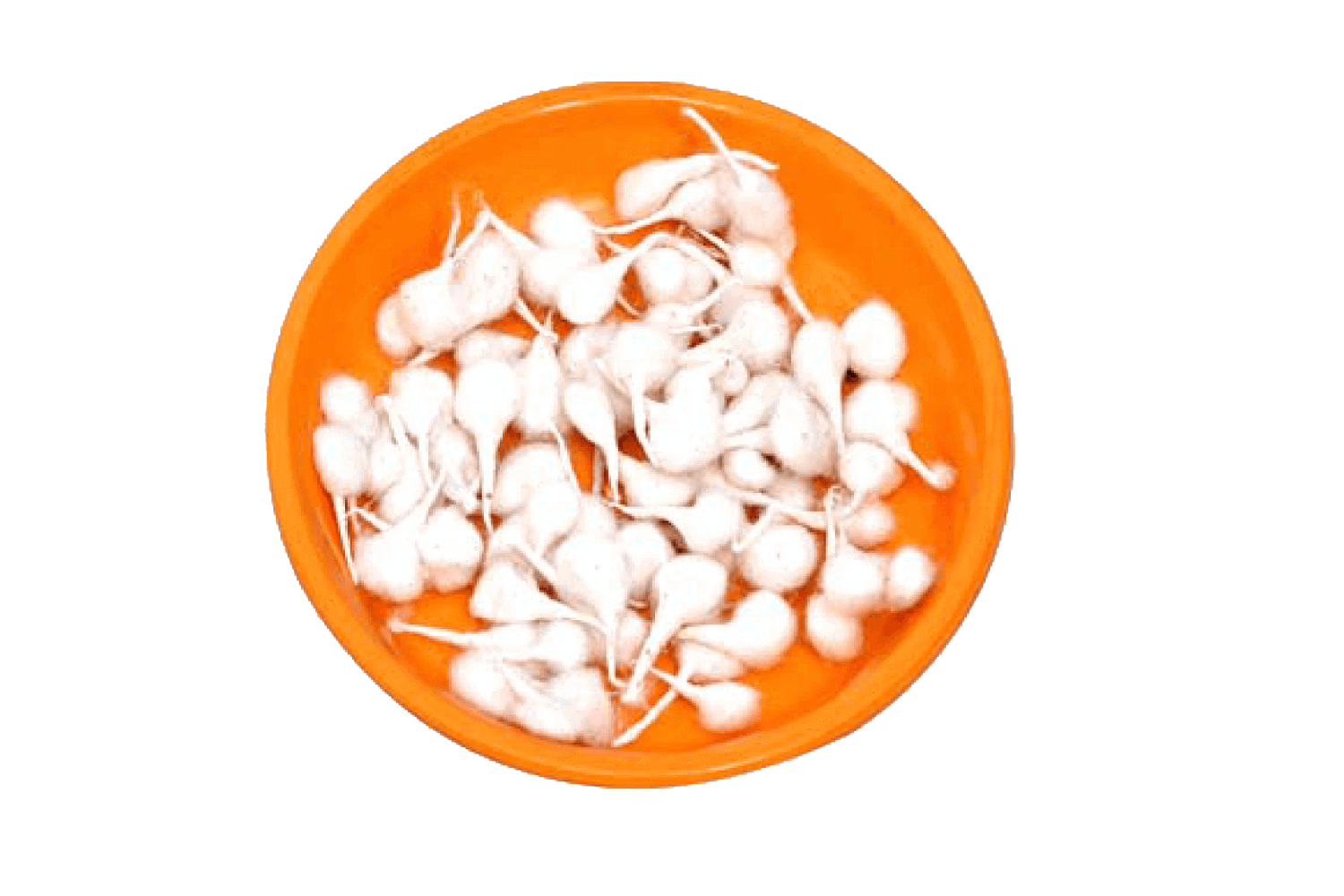 Round Vat 50 pcs (Pack of 2) 460