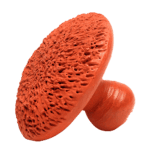 Round Foot Scrubber