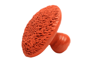 Round Foot Scrubber