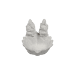 PLAIN DIYA 13 (Pack of 2)