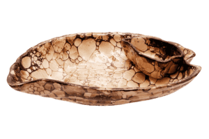 Nachos M Shaped Plate Small P09